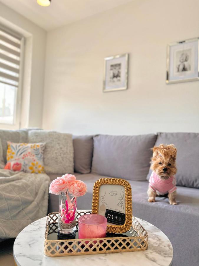 Downtown Apartments Family&Friends เชชูฟ ภายนอก รูปภาพ