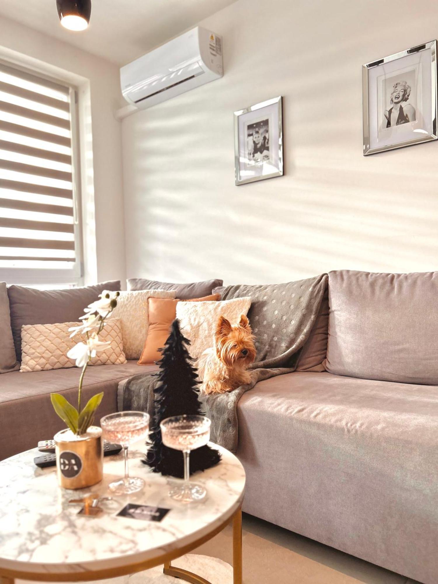 Downtown Apartments Family&Friends เชชูฟ ภายนอก รูปภาพ